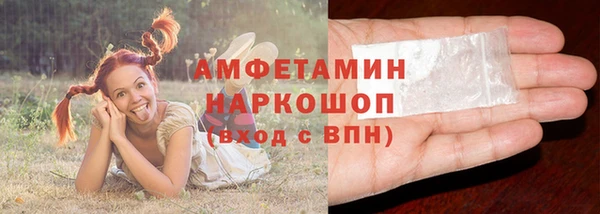spice Бородино