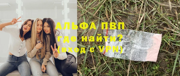 spice Бородино
