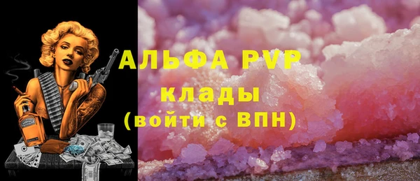 spice Бородино